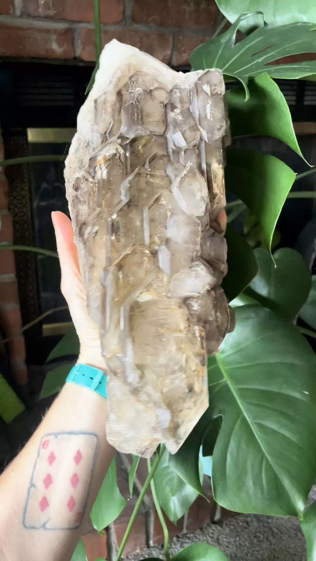 plant/Elestial smokey quartz (alligator quartz)-0
