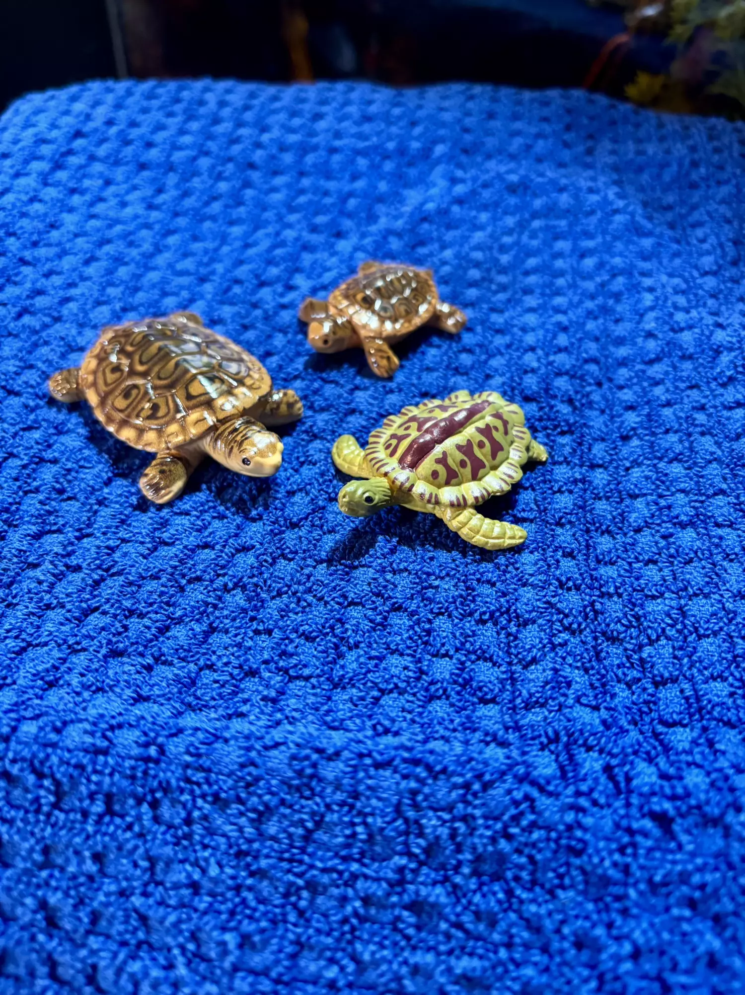 plant/Turtle Lot 3-0