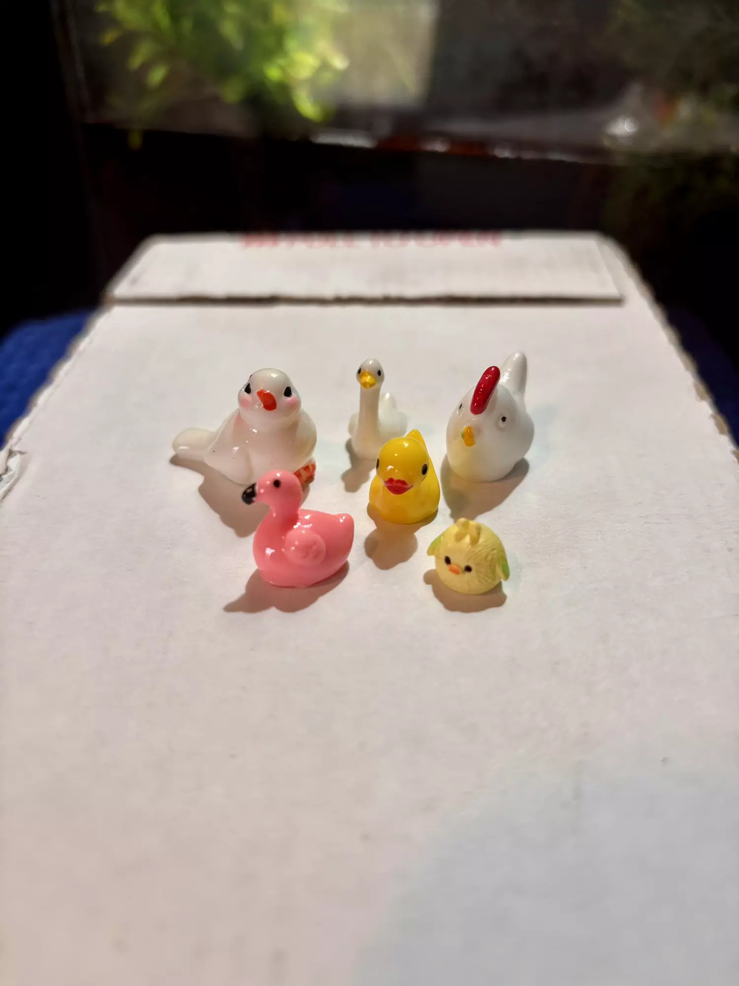 plant/Micro Bird Lot-0