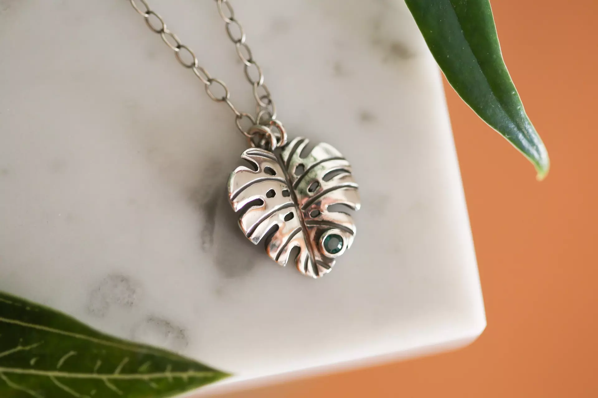 plant/Monstera + Emerald #1-0