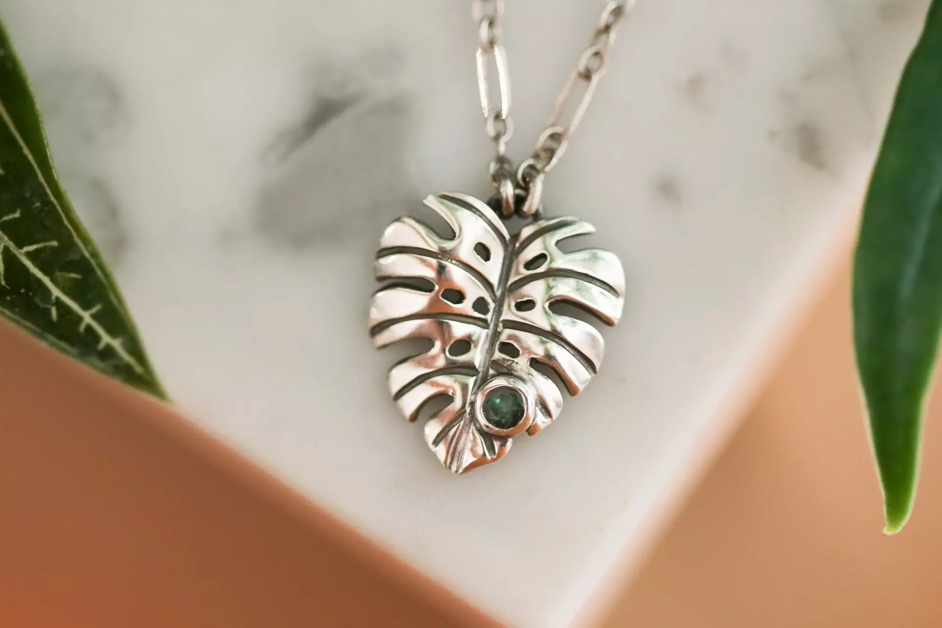 plant/Monstera + Emerald #2-0