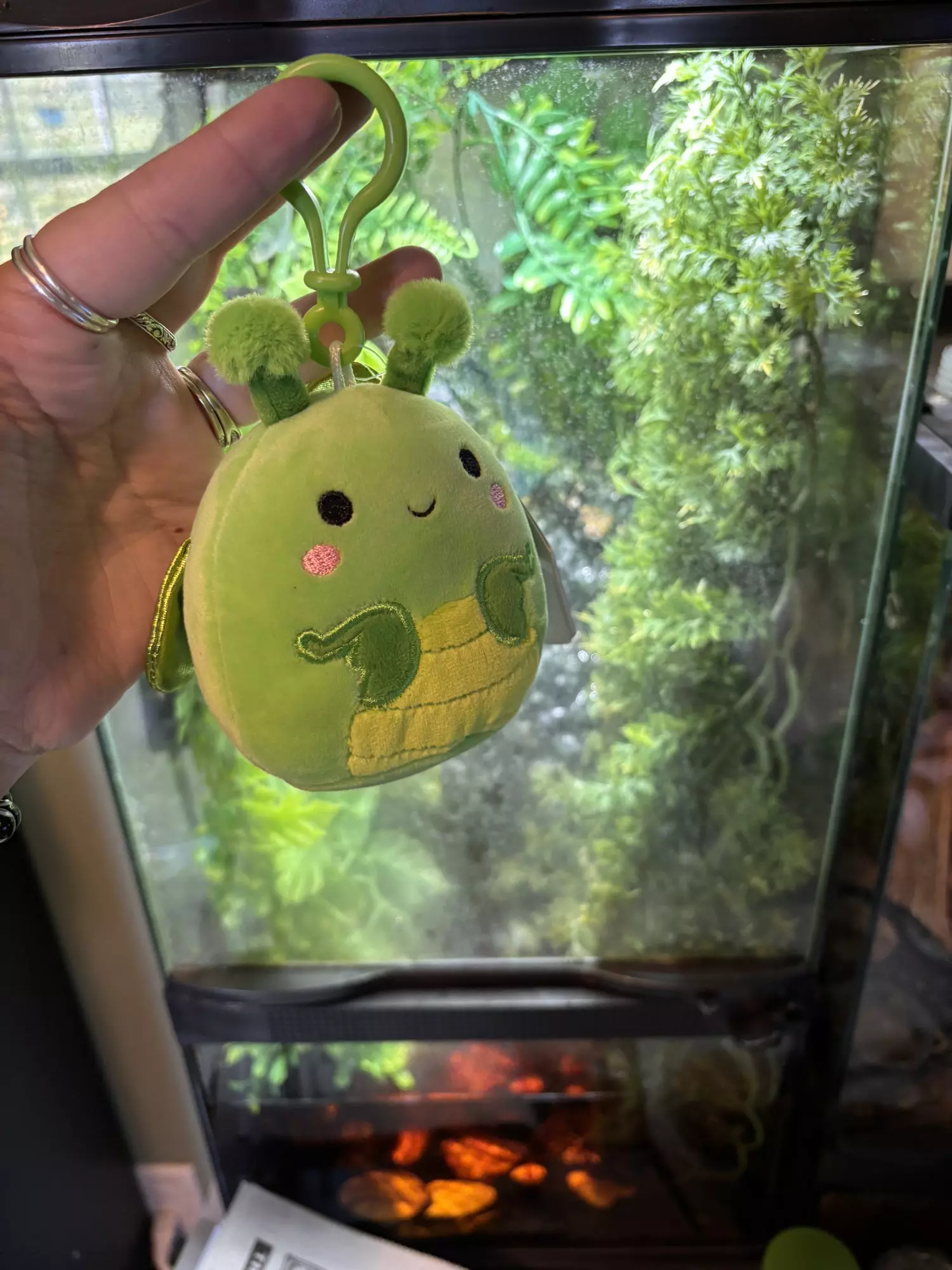plant/Praying Mantis Keychain-0