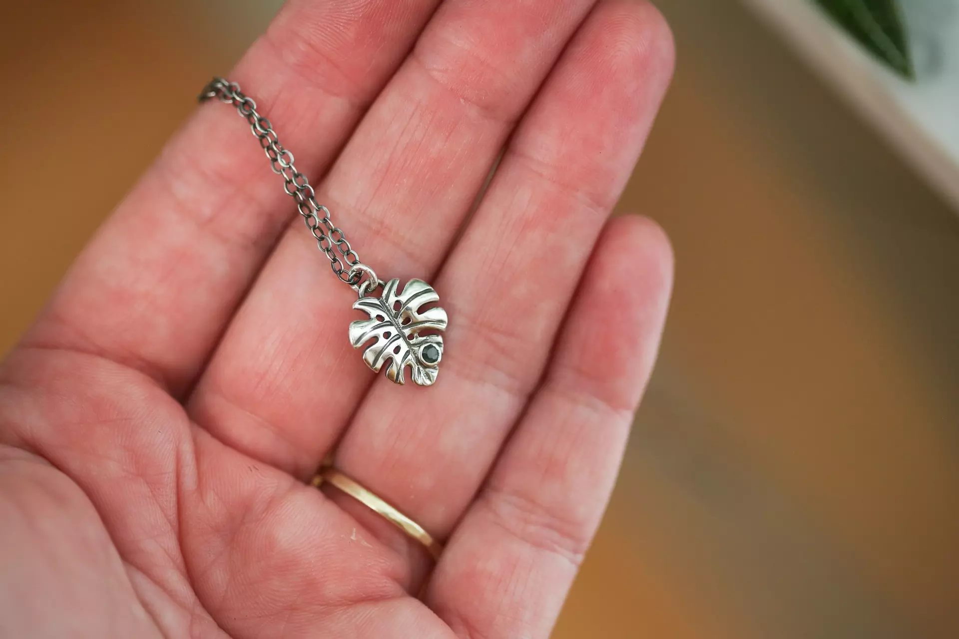 plant/Monstera + Emerald #3-1