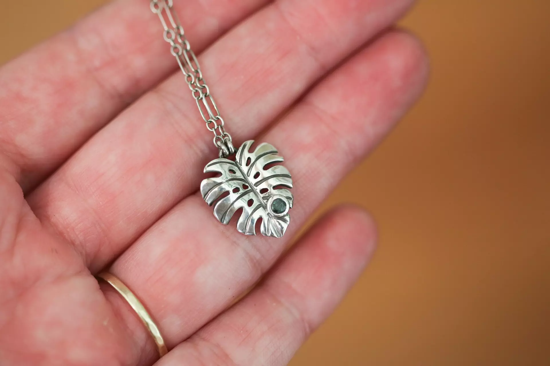 plant/Monstera + Emerald #2-1