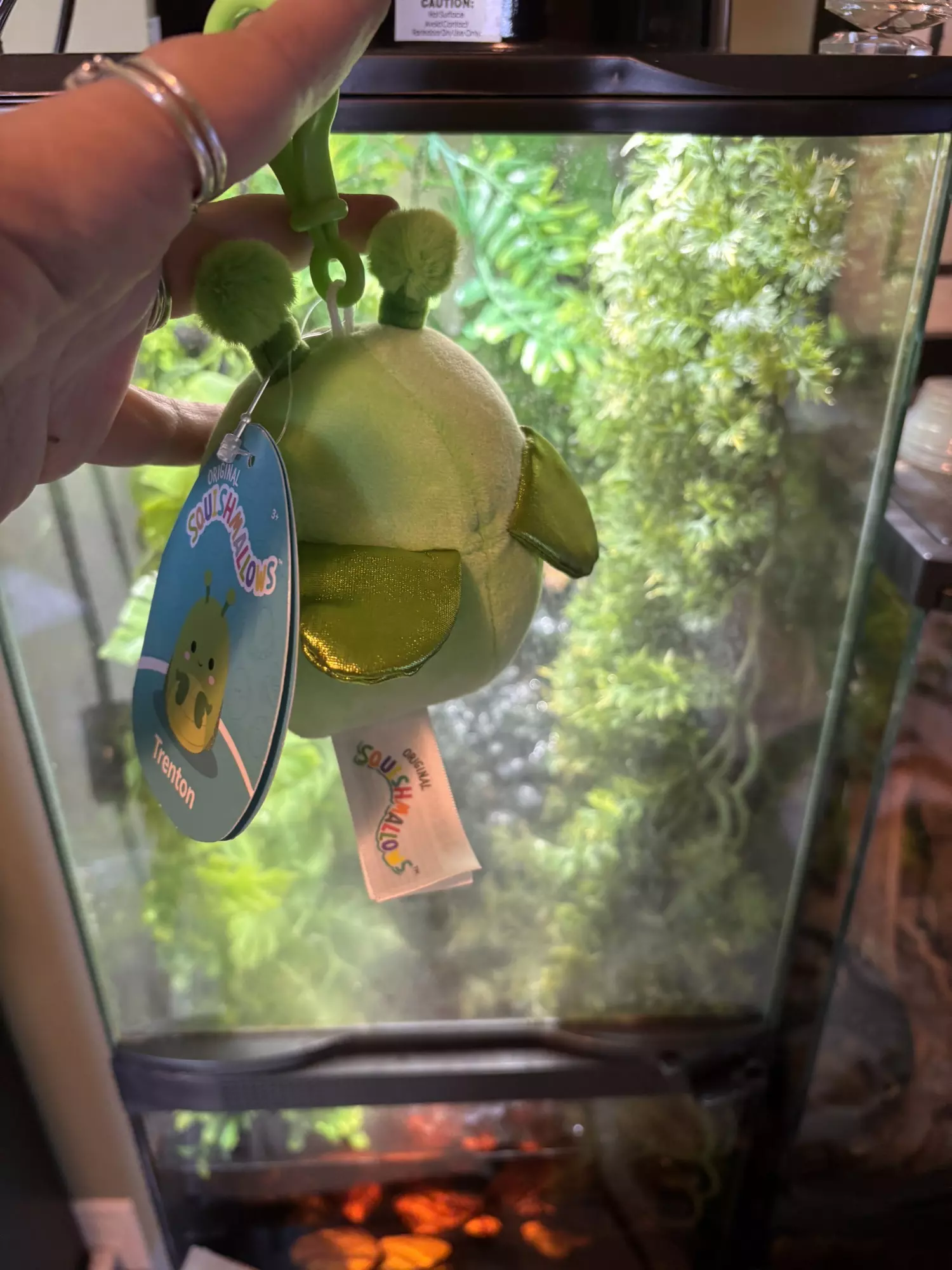 plant/Praying Mantis Keychain-1