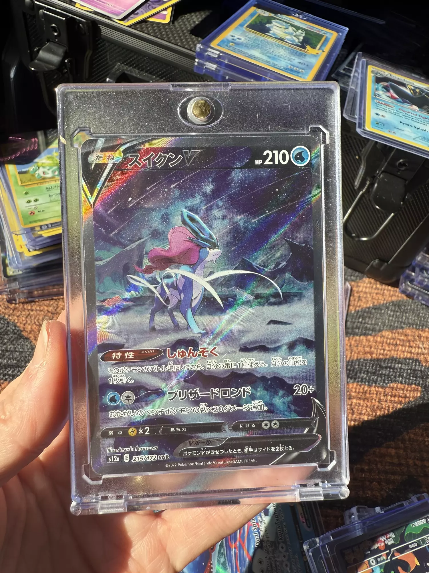 plant/Suicune V-0