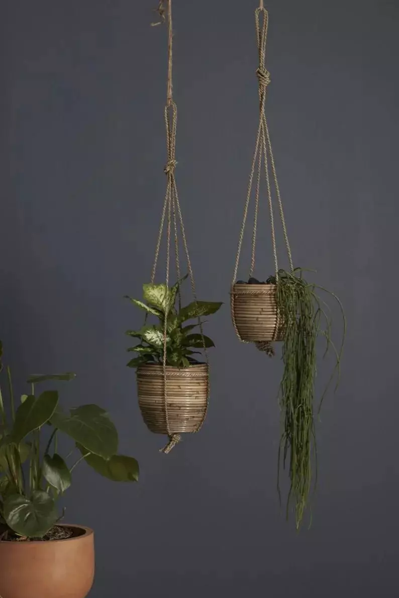 plant/Phuket Hanging Planter 6”-0