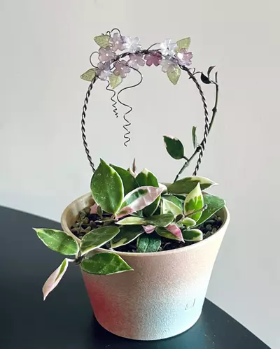 plant/3”*5.5”Pink lilac|plant stake trellis-0-thumbnail