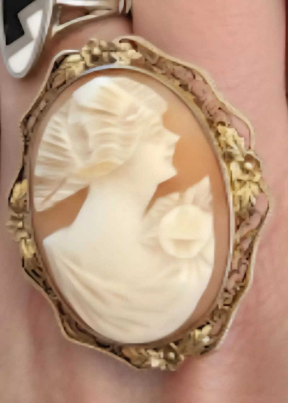 plant/Sterling silver gold wash Victorian Cameo  Antiques -0