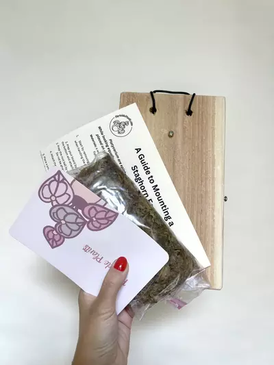 plant/Staghorn Mounting Kit-0-thumbnail