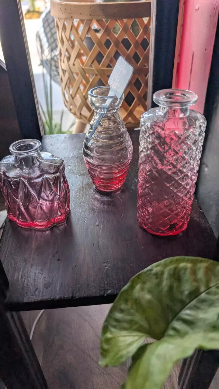 plant/Pink Ombre Glass Prop Vases-0