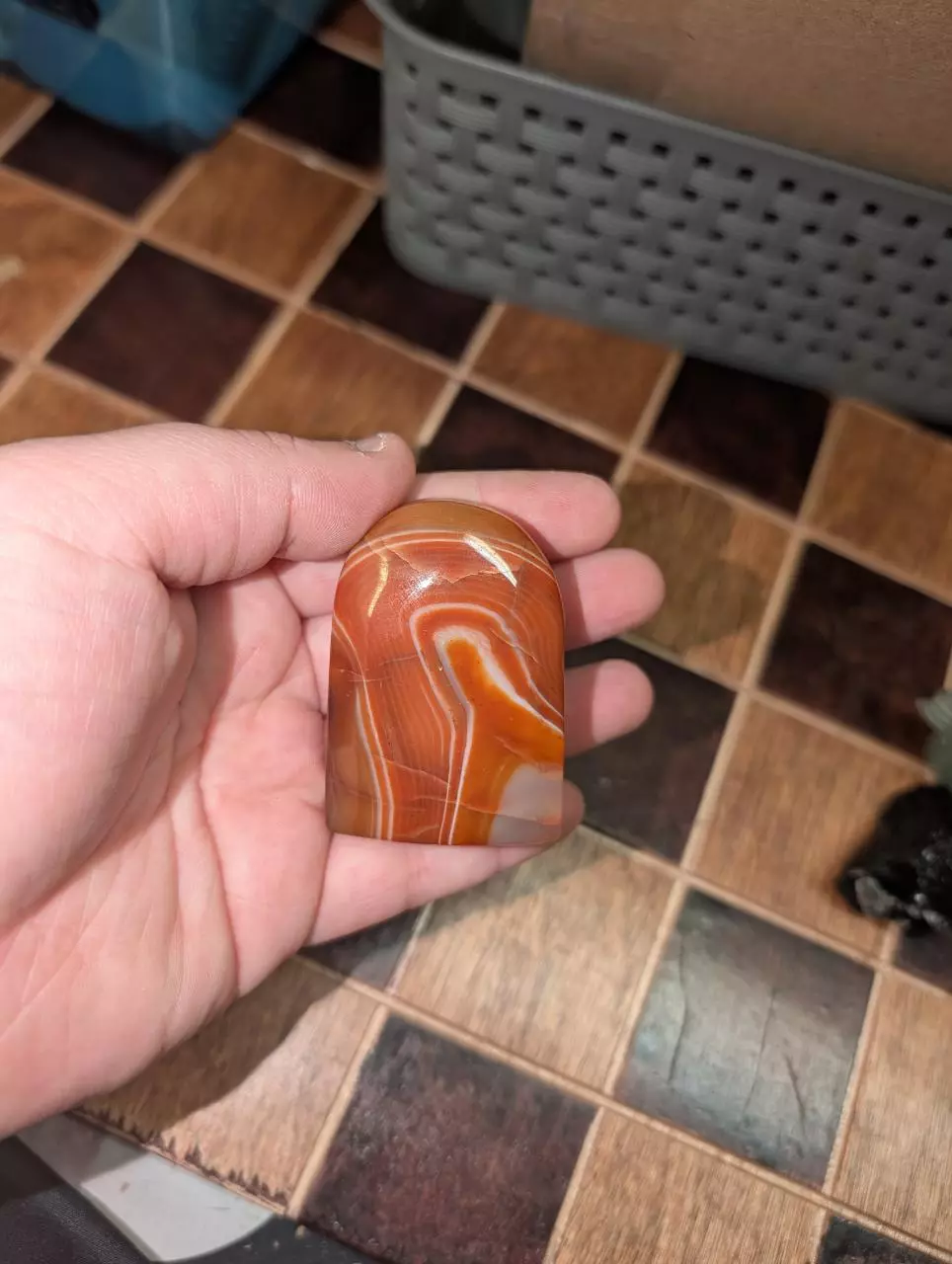 plant/Carnelian Freeform was $16-0