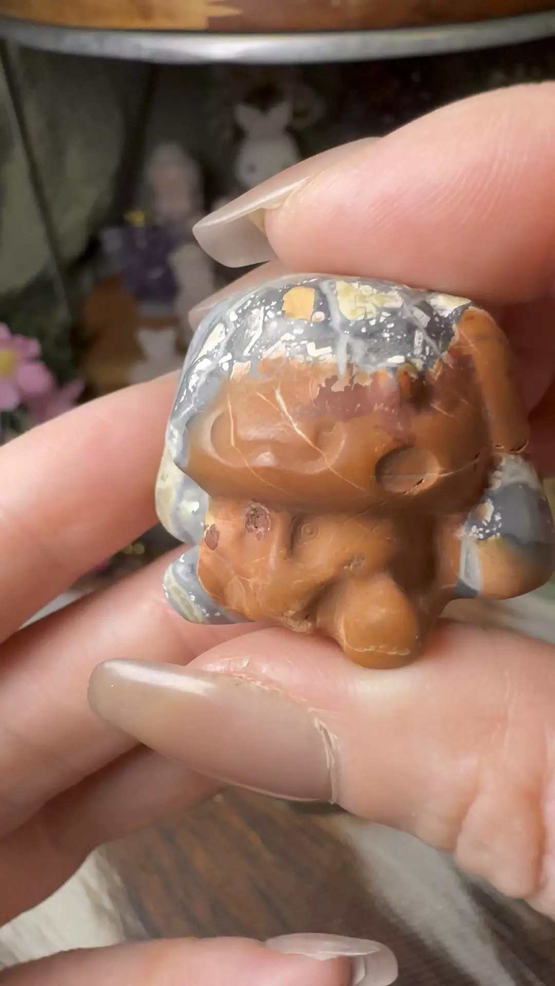 plant/Money Agate Sanrio Cinnamoroll-0