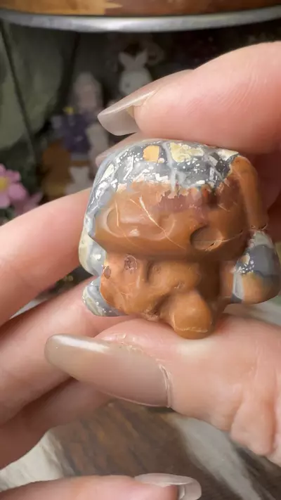 plant/Money Agate Sanrio Cinnamoroll-0-thumbnail