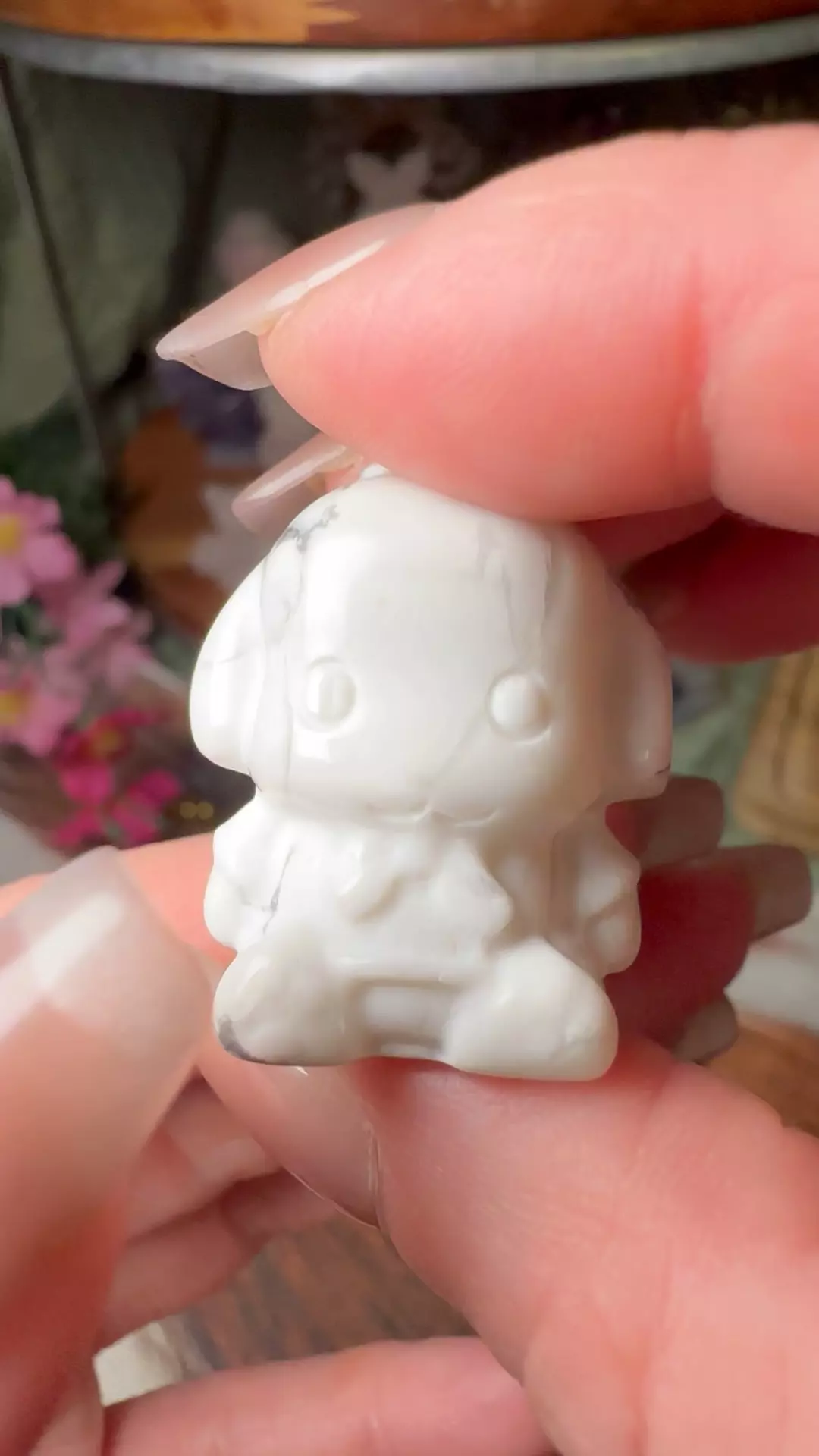 plant/Howlite Sanrio Pochacco Dog-0