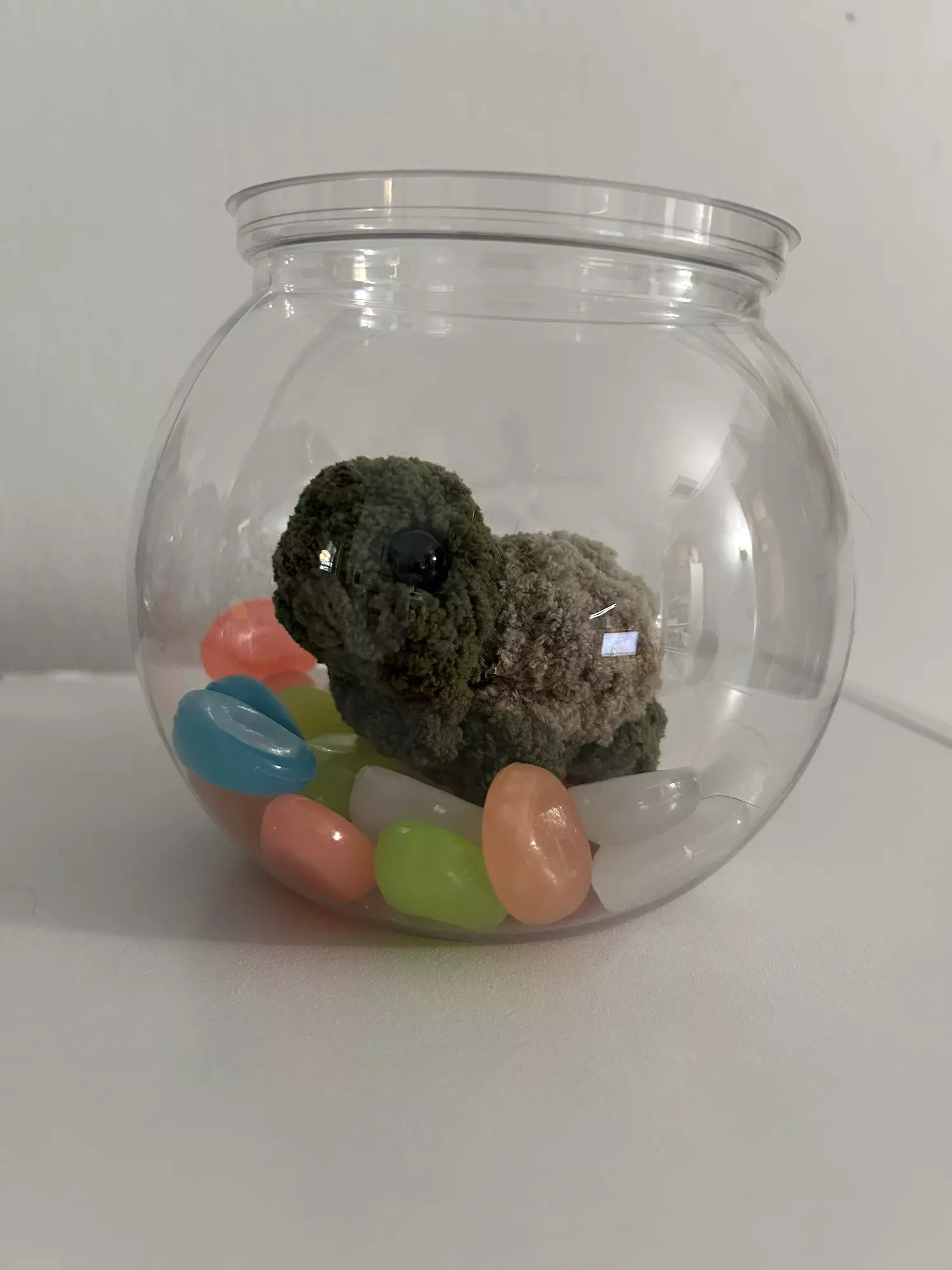 plant/“No Mess” Pets-1