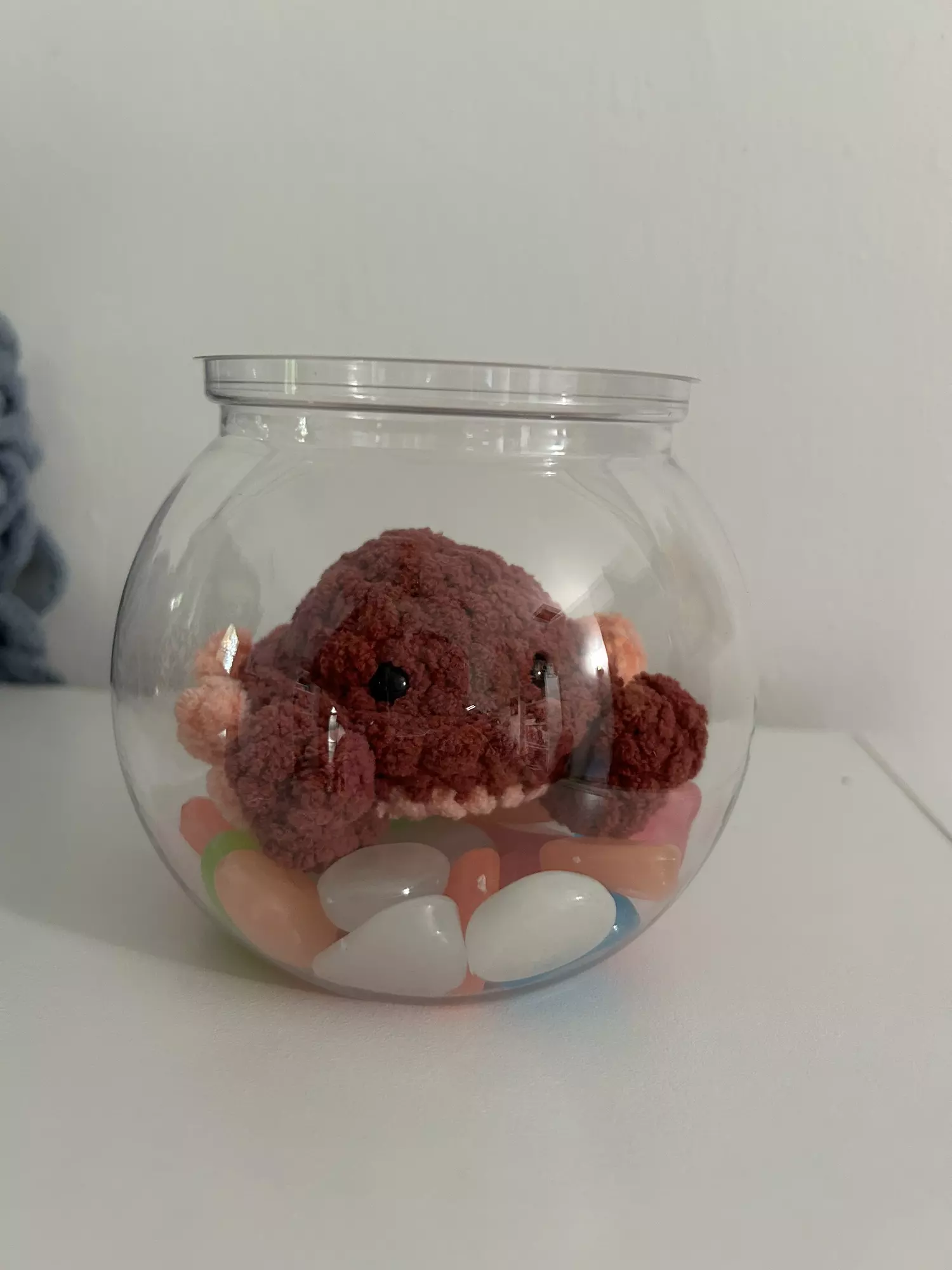 plant/“No Mess” Pets-4