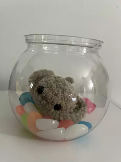 plant/“No Mess” Pets-3-thumbnail