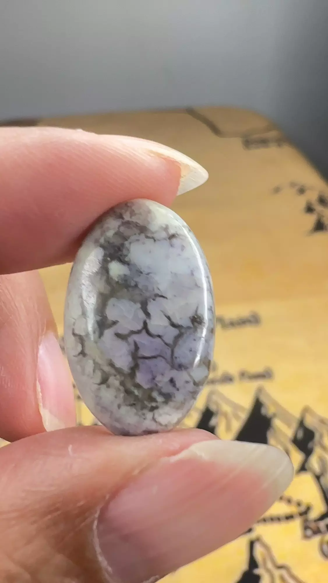 plant/[BOGO PAIR] Tiffany Stone cabochon (+Free Rainbow Moonstone cab)-0