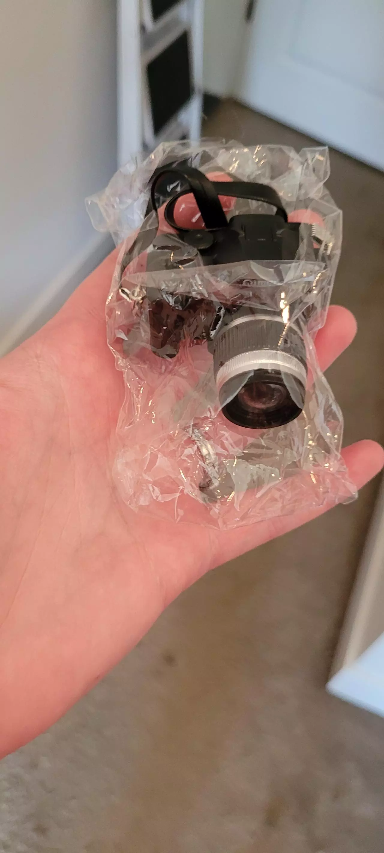plant/Camera for labubu-0