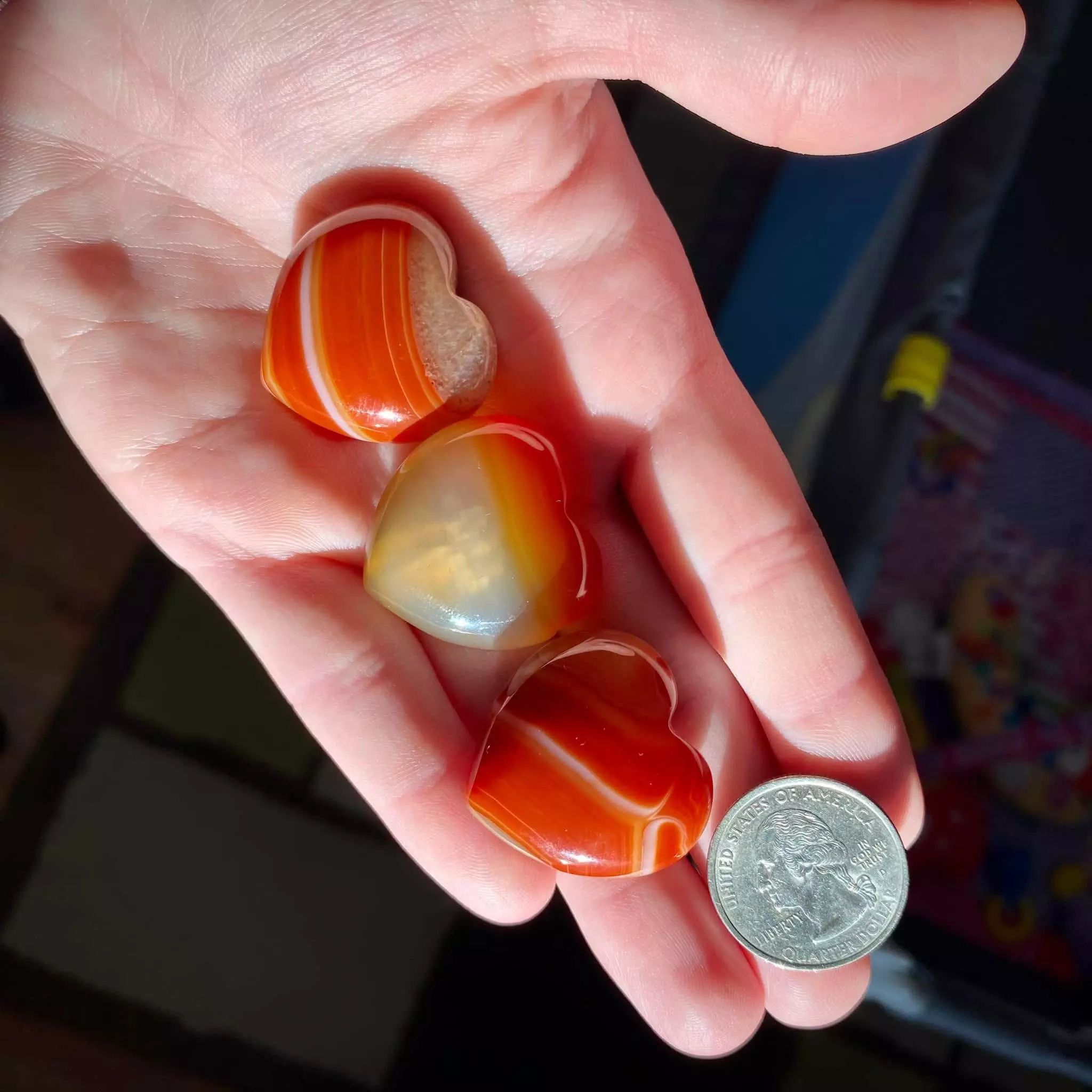 plant/Carnelian Mini Heart-1