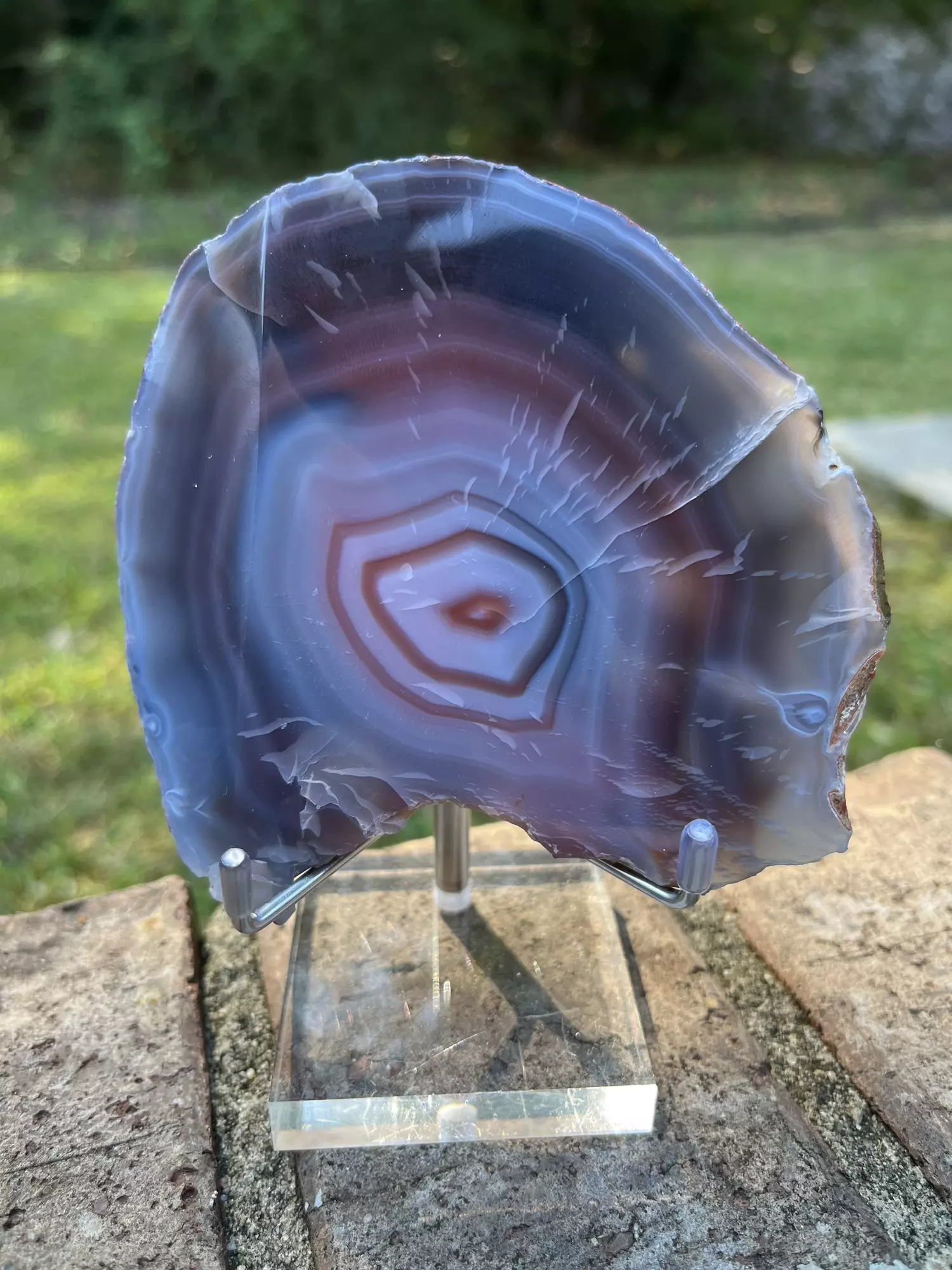 plant/Mozimbique Swazi Agate-1