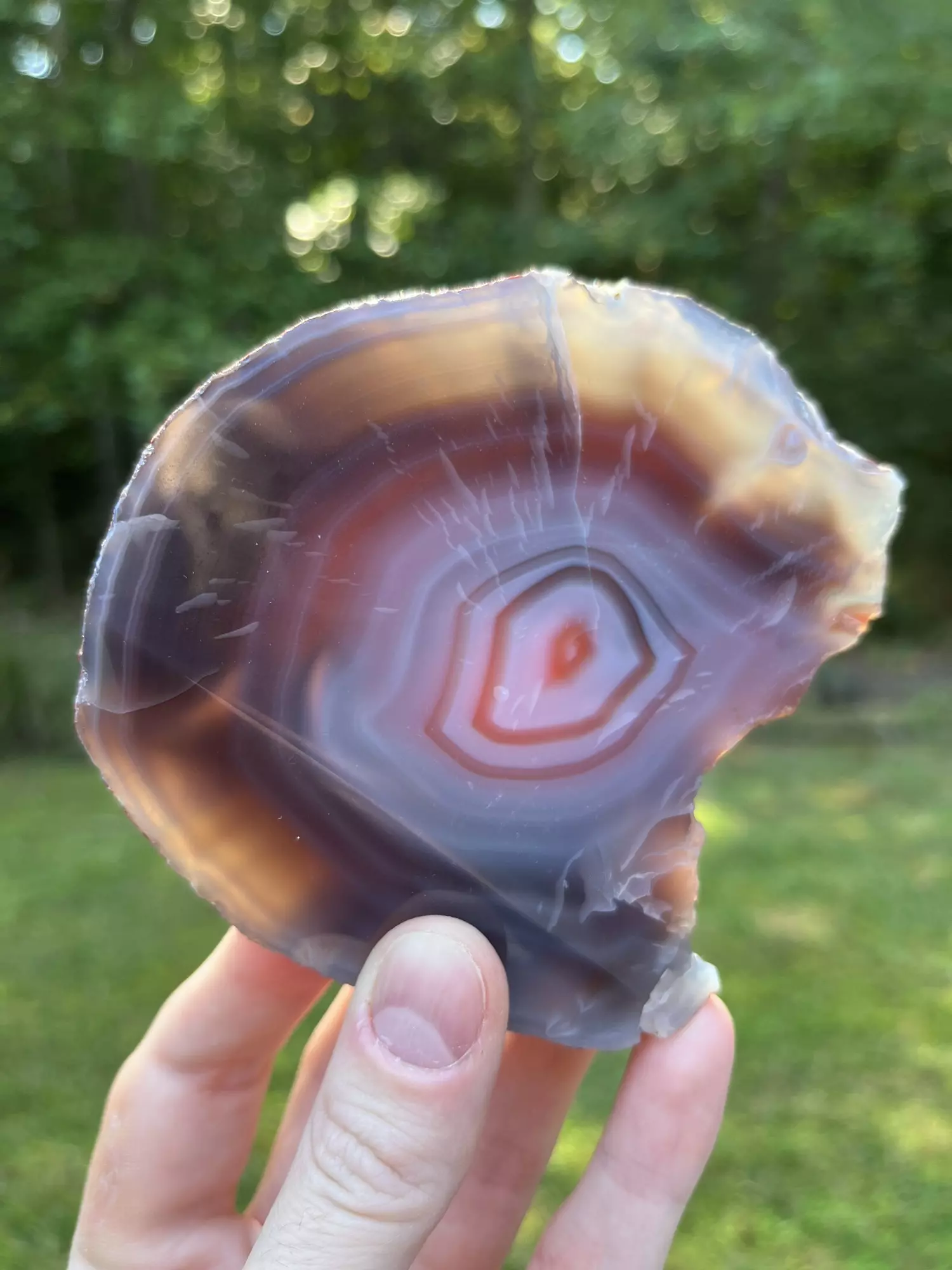 plant/Mozimbique Swazi Agate-0