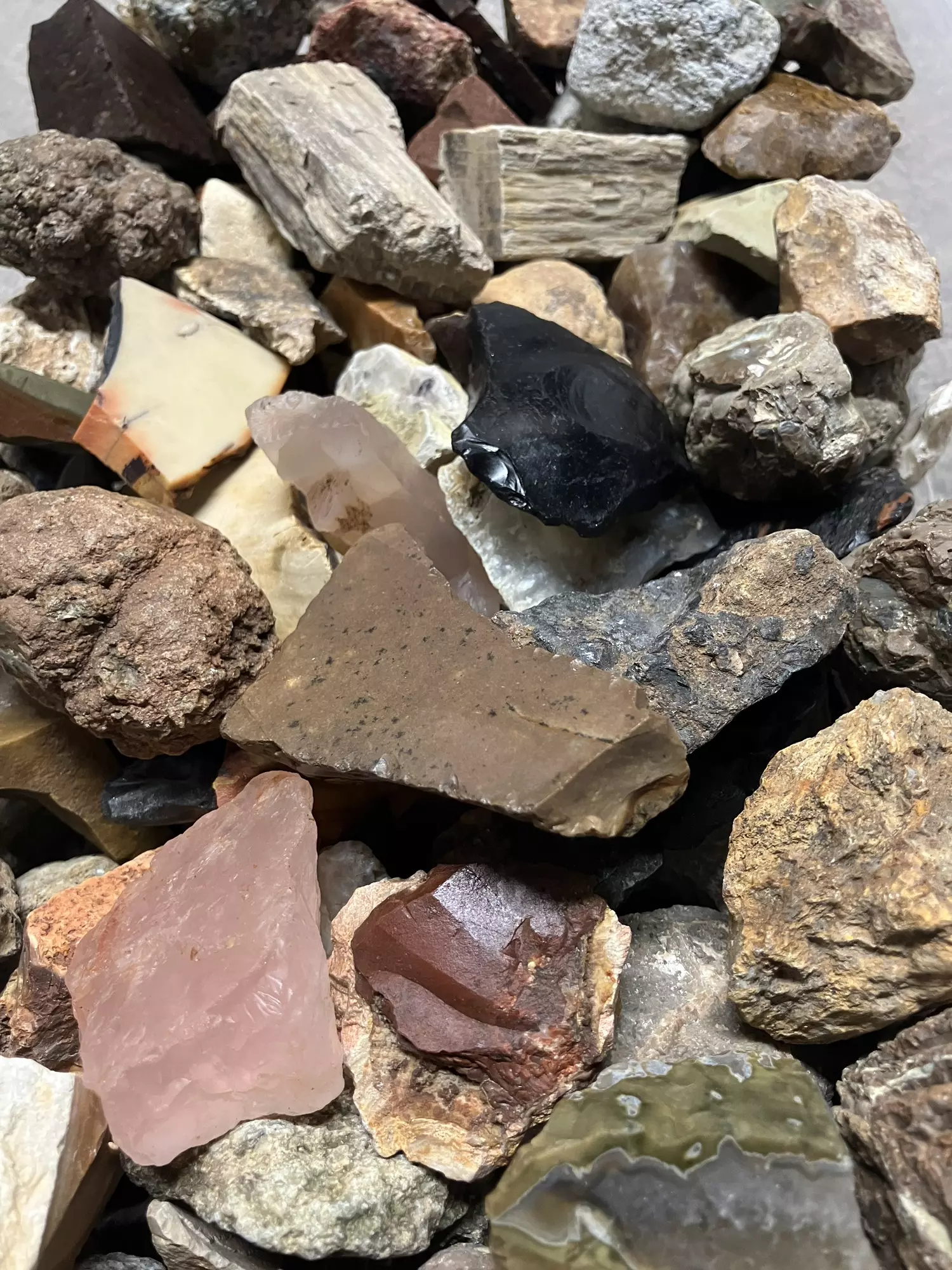 plant/Mixed Assortment of Thundereggs, Geodes, Jaspers, Petrified Wood - 15.2lb-1