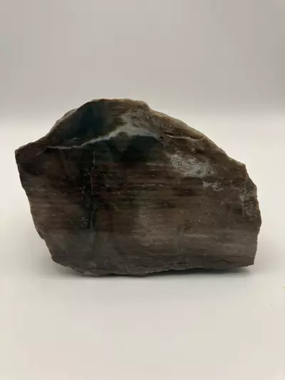 plant/Mcdermitt Petrified Wood with Black Dendritic Moss on Mcdermitt P.T - Polished - 15.25oz-3-thumbnail