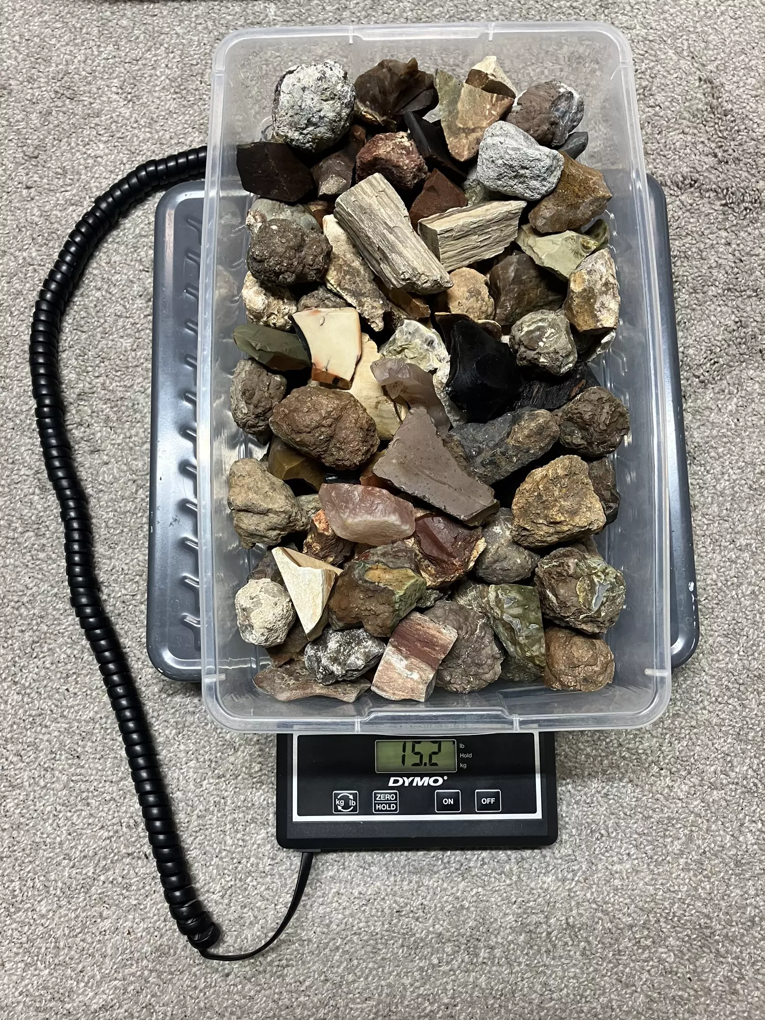 plant/Mixed Assortment of Thundereggs, Geodes, Jaspers, Petrified Wood - 15.2lb-3