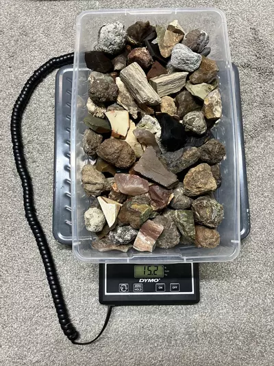 plant/Mixed Assortment of Thundereggs, Geodes, Jaspers, Petrified Wood - 15.2lb-3-thumbnail