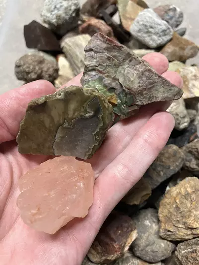 plant/Mixed Assortment of Thundereggs, Geodes, Jaspers, Petrified Wood - 15.2lb-2-thumbnail