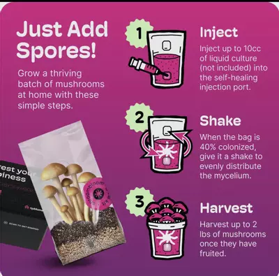 plant/All you need to grow mushroom kit (add your own spores)-2-thumbnail