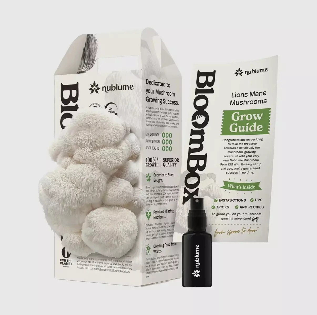 plant/Lions Mane mushroom grow kit-0