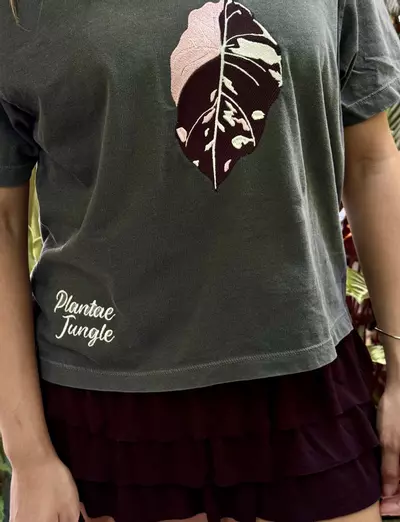 plant/Alocasia Pink Black Velvet - XXL- Grey - Boxy Shirt-0-thumbnail