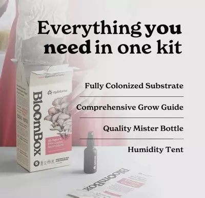 plant/Pink Oyster mushroom grow kit-2-thumbnail