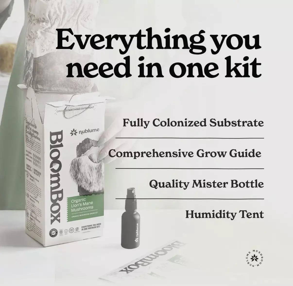 plant/Lions Mane mushroom grow kit-1