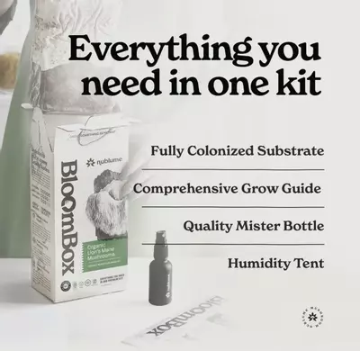 plant/Lions Mane mushroom grow kit-1-thumbnail