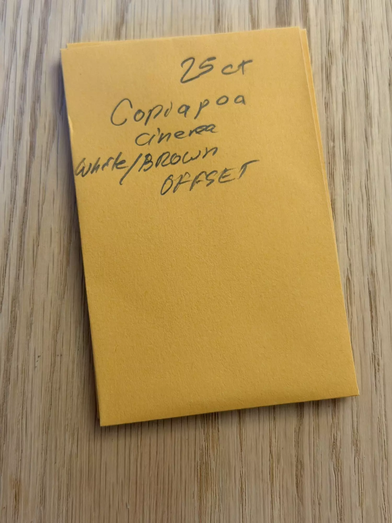 plant/Copiapoa cinerea white skin / brown spines “offset” 25 seeds-0