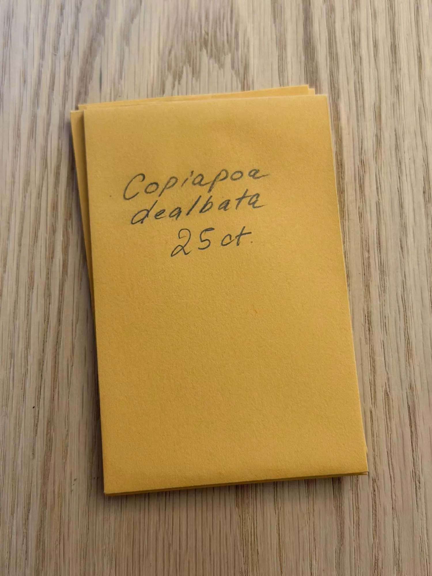 plant/Copiapoa dealbata 25 seeds-0