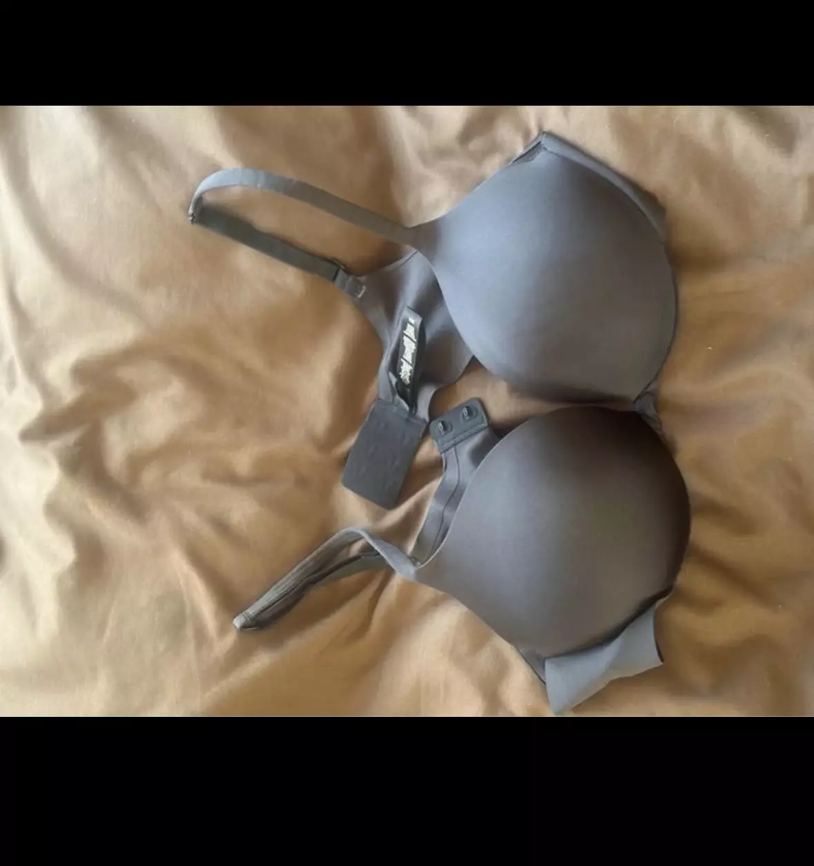 plant/New Skims 36A push-up NWOT-0