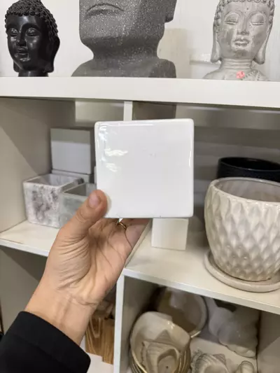 plant/Decorative Pot 3”-0-thumbnail