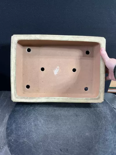 plant/Glazed and Chopped Reiho Japanese Pot with Patina-1-thumbnail