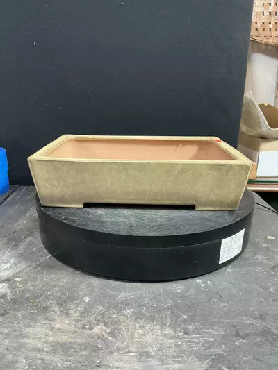 plant/Glazed and Chopped Reiho Japanese Pot with Patina-0-thumbnail