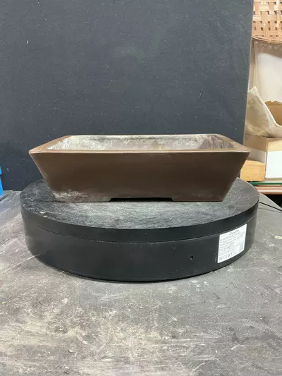 plant/Chopped Yamaaki Pot-0-thumbnail