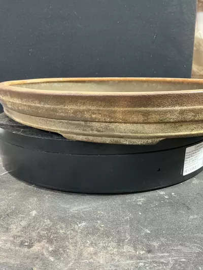 plant/Chopped 3rd Gen Yamaaki Pot-3-thumbnail