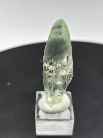plant/Aquamarine Medina Brazil-0-thumbnail