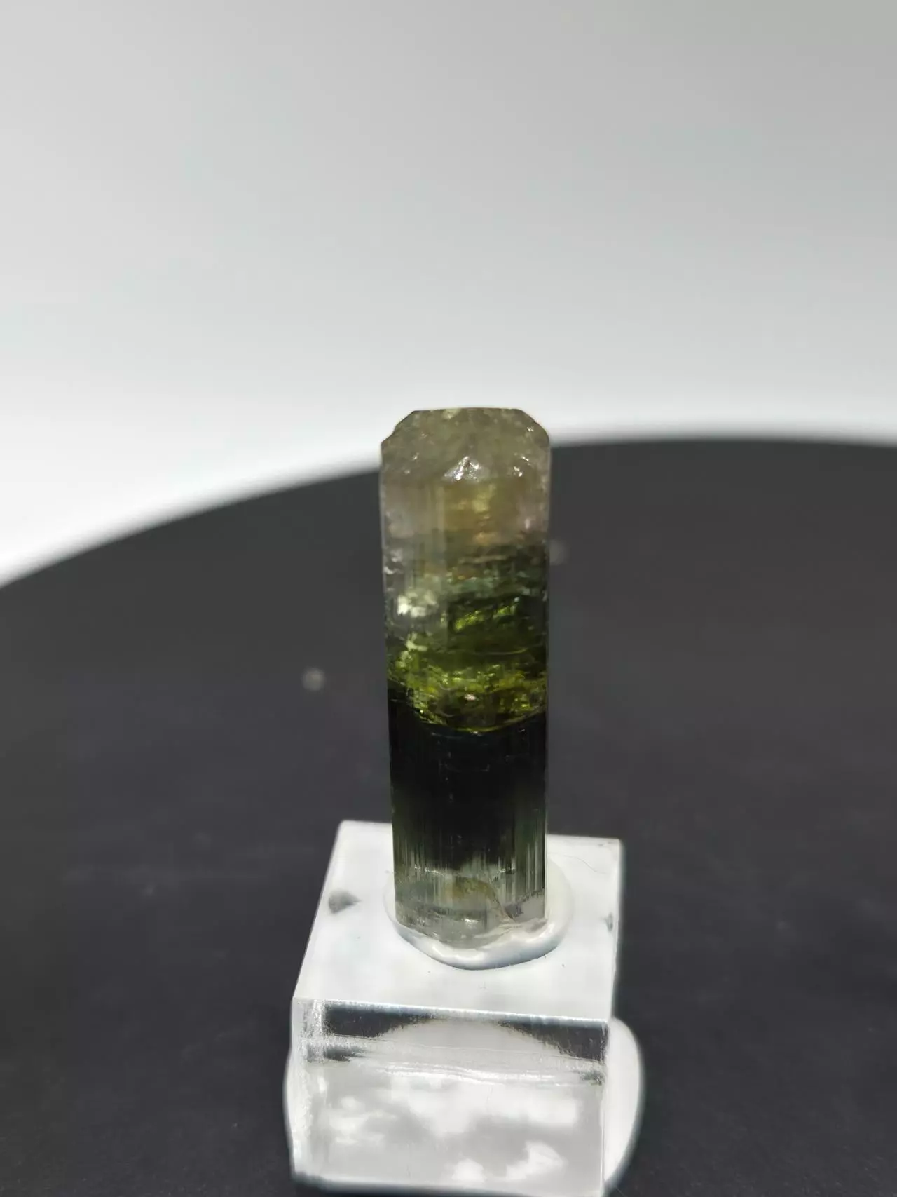 plant/Tourmaline - Aricanga, Brazil-0