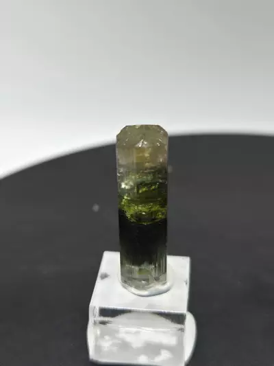 plant/Tourmaline - Aricanga, Brazil-0-thumbnail