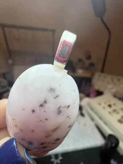 plant/big pink opal with chip at top-1-thumbnail